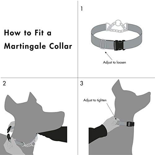 Reflective No Pull Dog Collar for Training Breed Dogs, Black