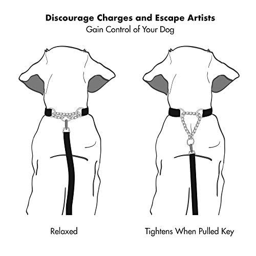 Reflective No Pull Dog Collar for Training Breed Dogs, Black