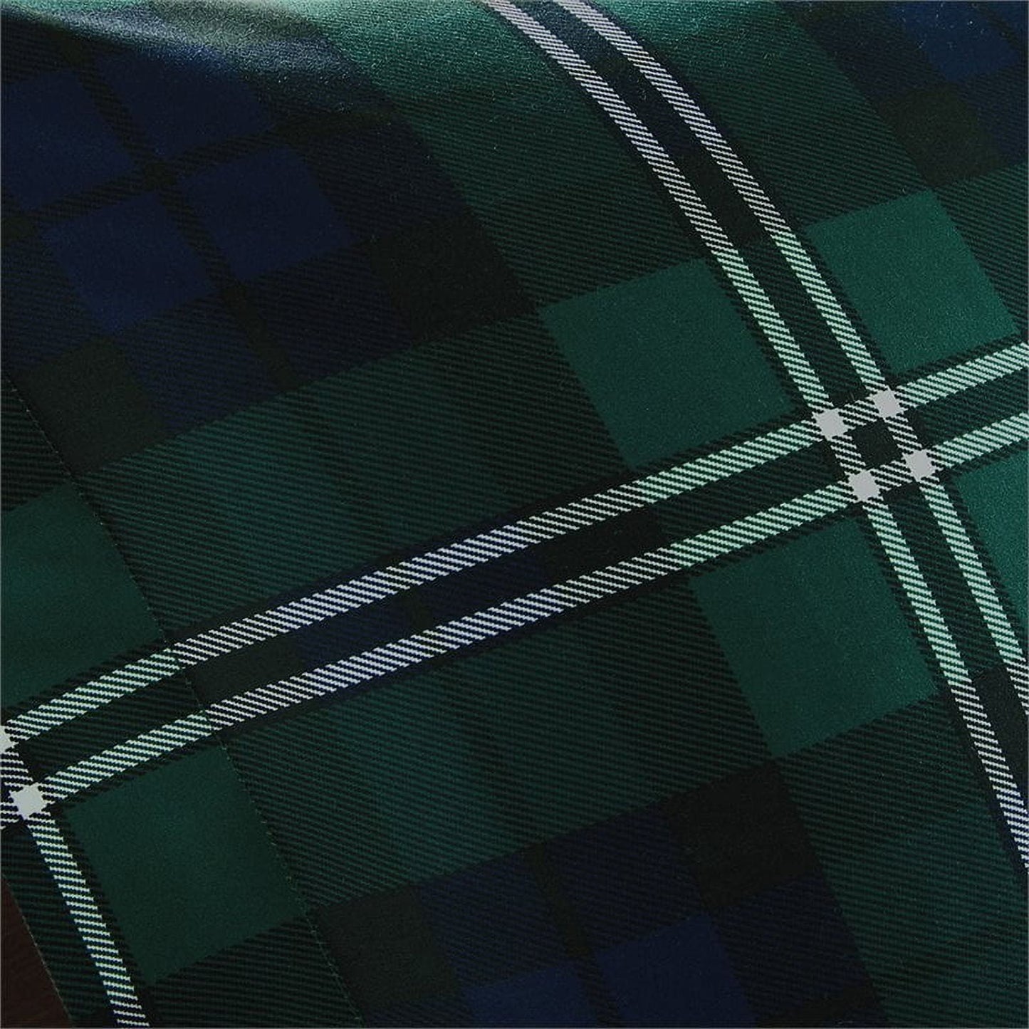 Blue Teen Bradley Printed Comforter Bedding Set