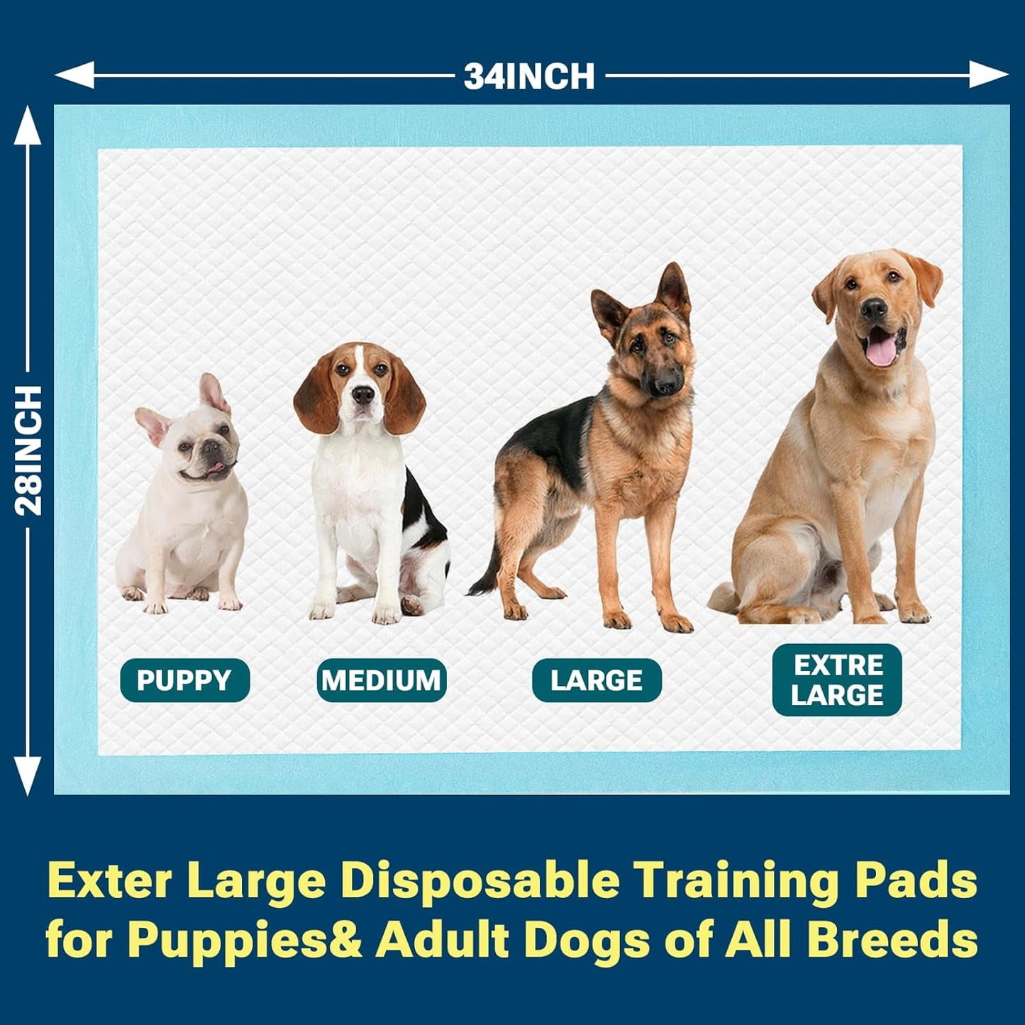Disposable Absorbent Dog Pee Pads, 50 Count Extra Large Puppy Training Pads, Leak-Proof & Quick Dry