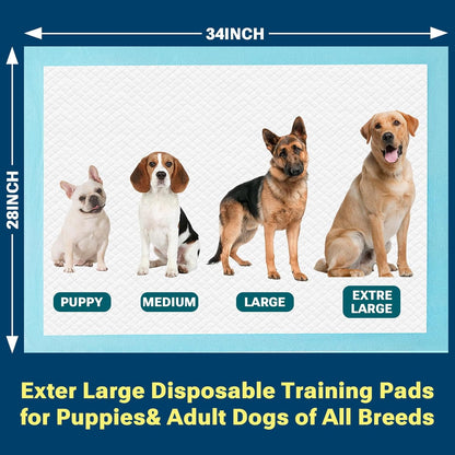 Disposable Absorbent Dog Pee Pads, 50 Count Extra Large Puppy Training Pads, Leak-Proof & Quick Dry