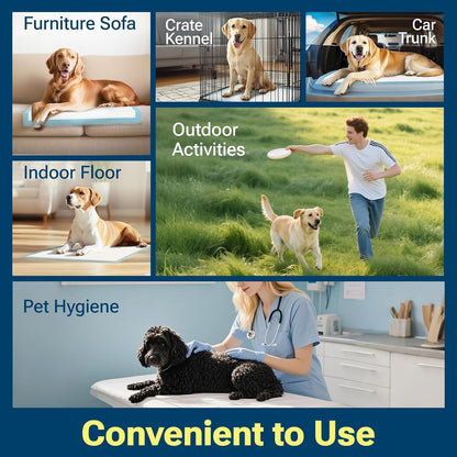 Disposable Absorbent Dog Pee Pads, 50 Count Extra Large Puppy Training Pads, Leak-Proof & Quick Dry