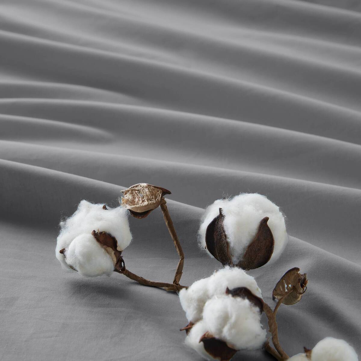 144TC 100% Cotton Solid Sheet Set