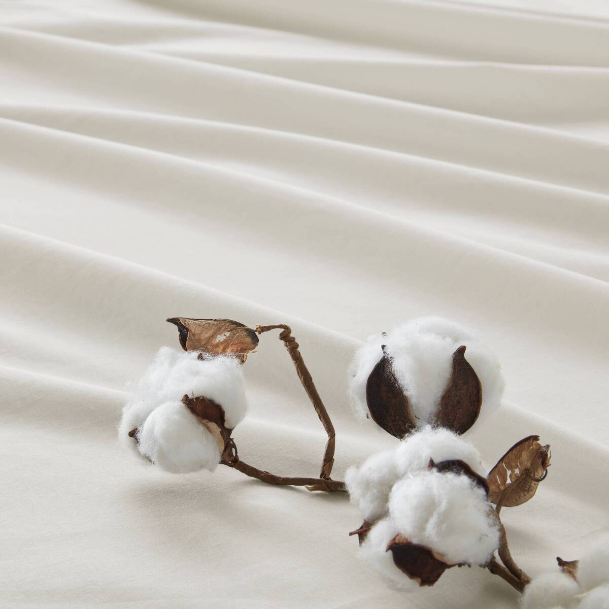 144TC 100% Cotton Solid Sheet Set